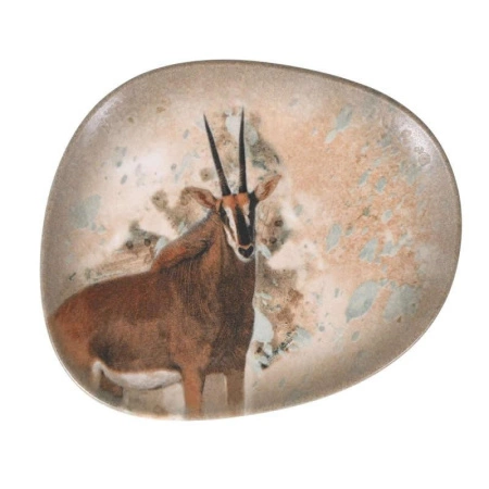 Savanna фото 2